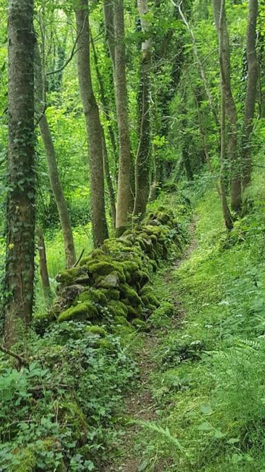 Chambre A La Campagne Saint Andre De Chalencon Zewnętrze zdjęcie