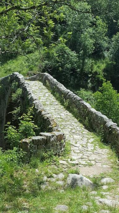 Chambre A La Campagne Saint Andre De Chalencon Zewnętrze zdjęcie